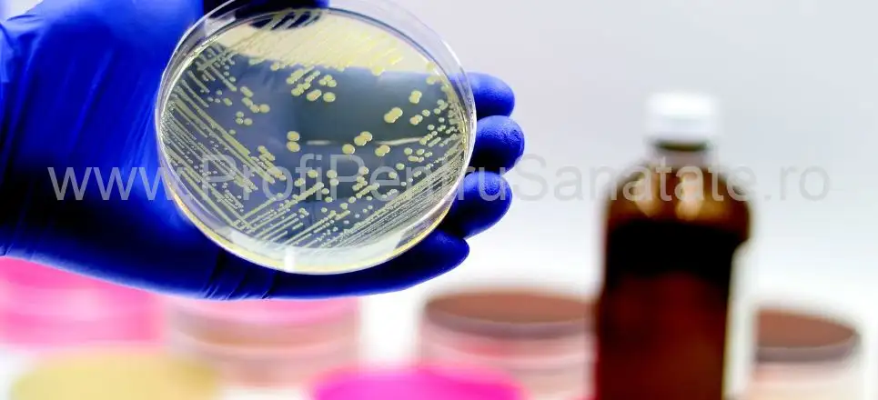 Stafilococul auriu: tratament, prevenție, cauze, simptome